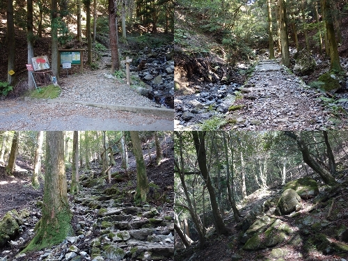 林道終点からの登山道