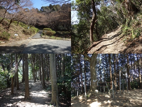 登山口と登山道