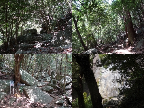 行縢の滝への登山道
