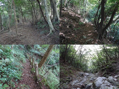 清賀の滝からの登山道