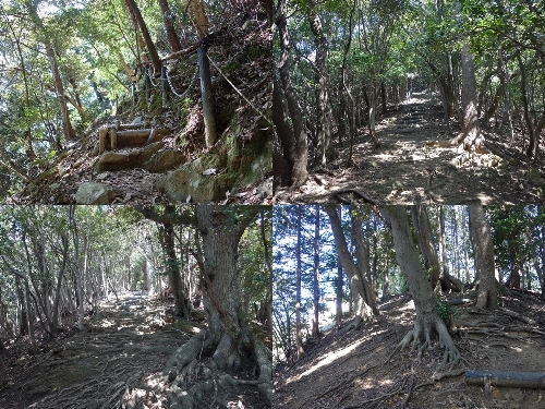 登山口と登山道